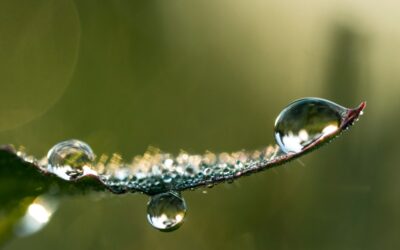 Your 101 Guide to Environmental, Social and Governance (ESG)